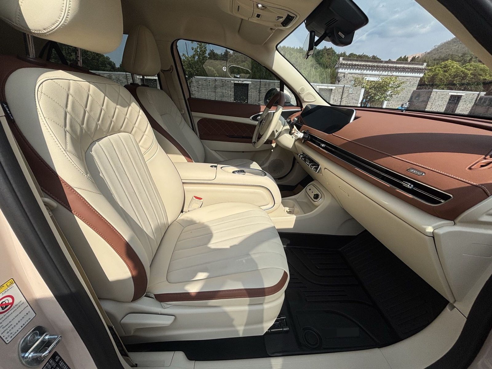 ORA Good Cat 401 km Standard Range Luxury Model – Lithium Iron Phosphate photo 4