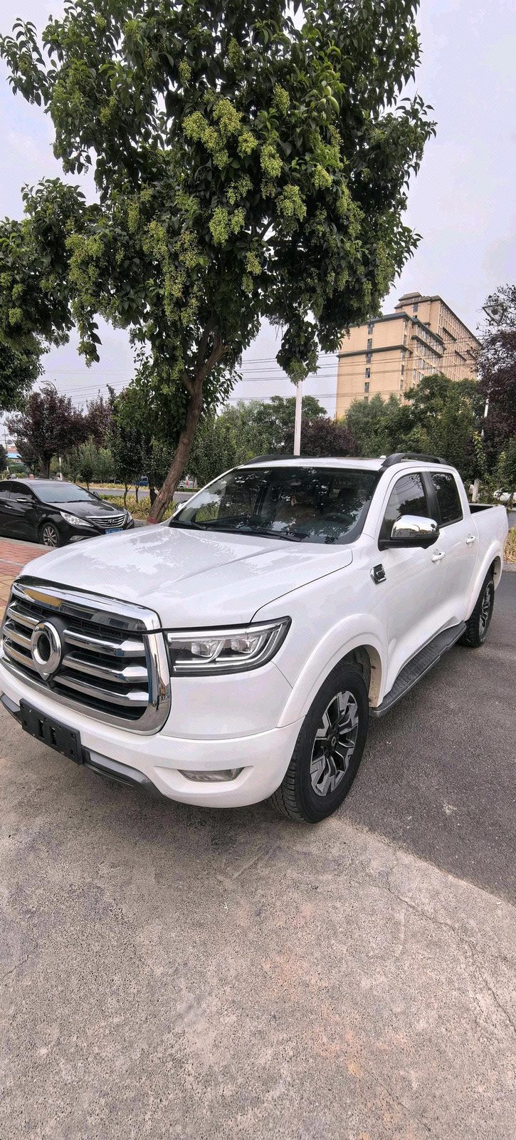 Great Wall POER 2021 Cannon 2.0T Passenger Global Version Diesel 4WD Sport Standard-Box Version