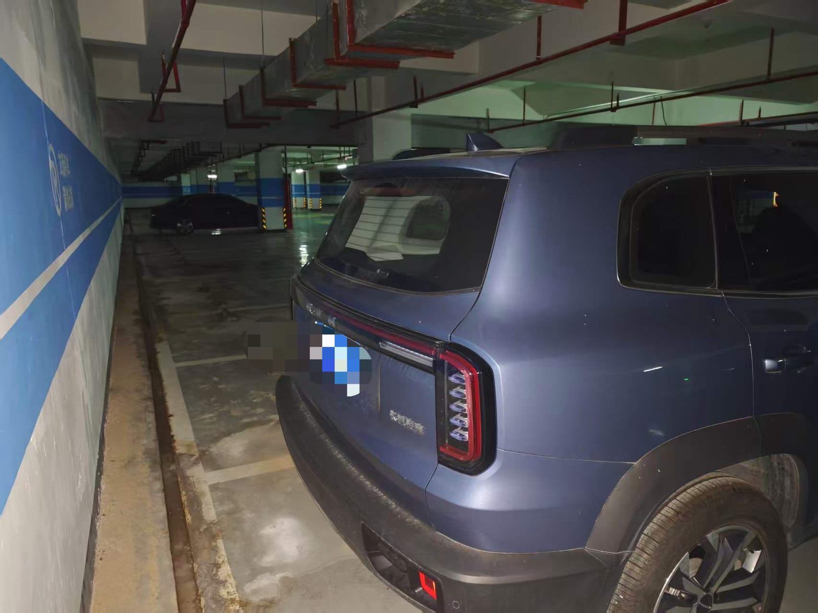 Фото Haval Dargo Big Dog 1.5T Border Collie Edition — 2