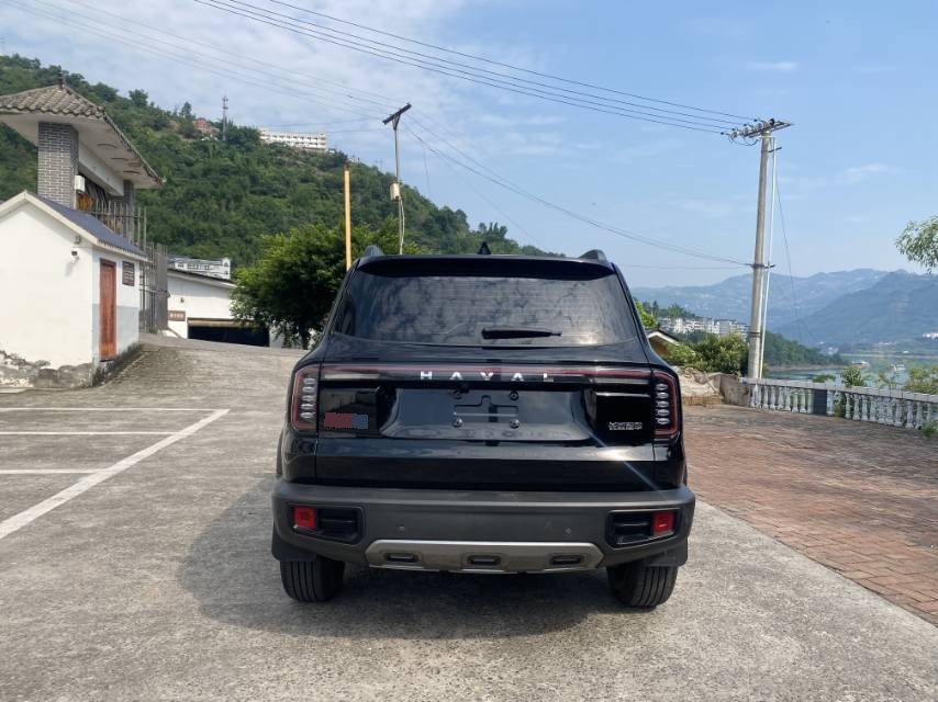 Foto del Haval Dargo Big Dog 1.5T Border Collie Edition 5