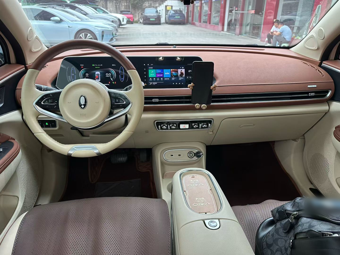 ORA Good Cat 501km Long Range Luxury Edition, Lithium Iron Phosphate fotoğraf 5