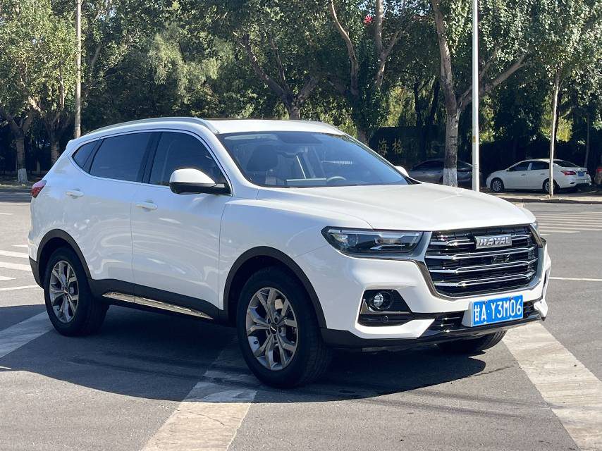 Haval H6 1.5T National Trend Edition Champion Edition foto 2
