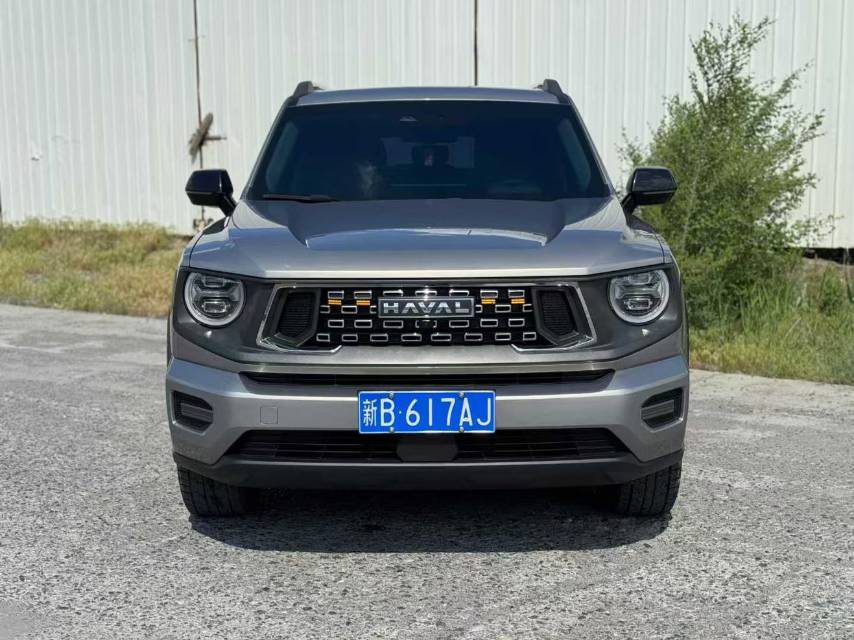صورة Haval Dargo Big Dog 2.0T Four-Wheel Drive Trendy Off-Road Plus رقم 3