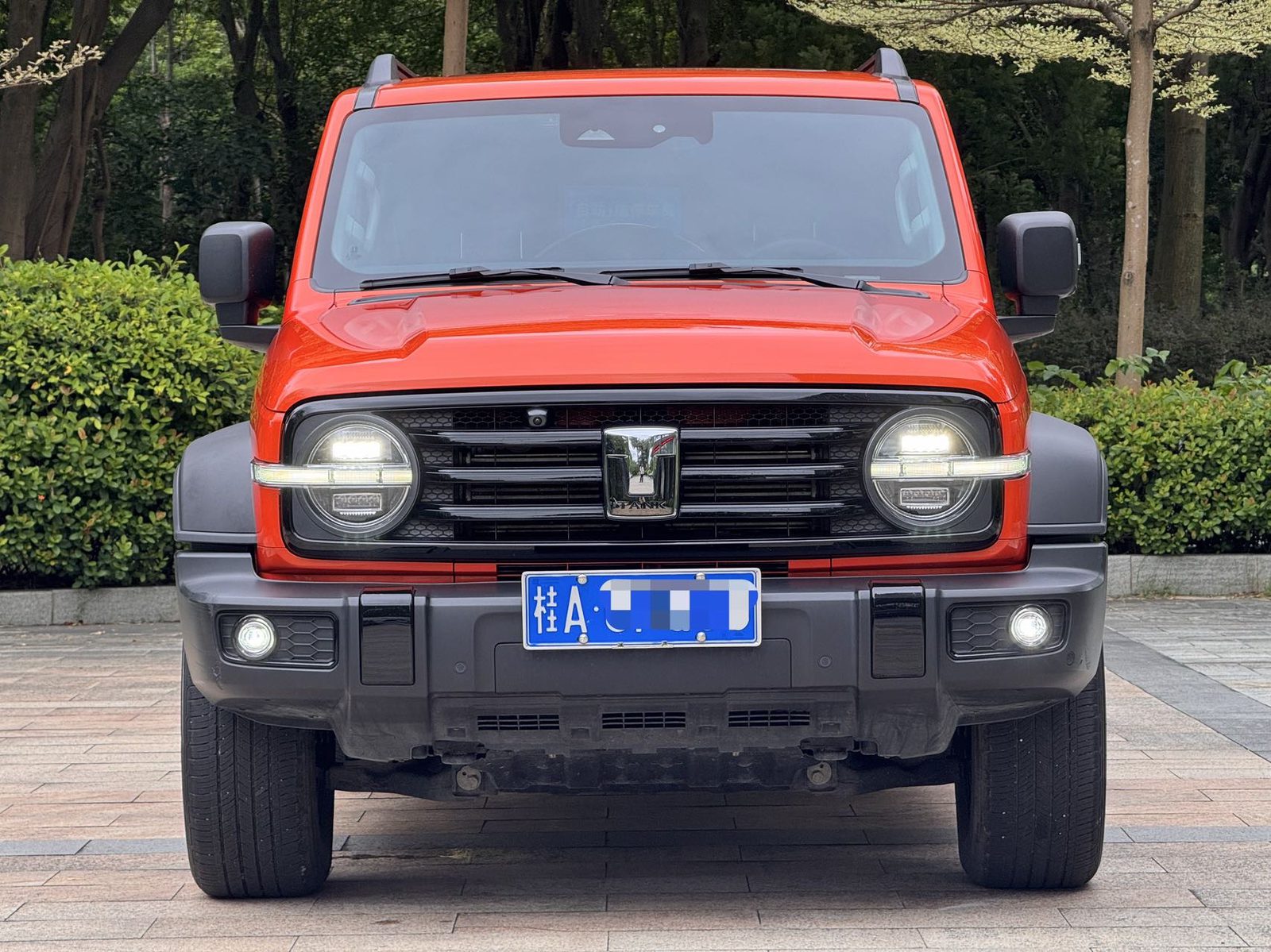 TANK Tank 300 2.0T Off-Road Edition: The Conqueror photo 2