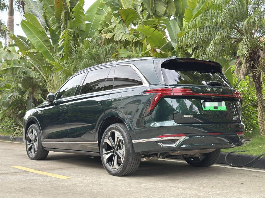 WEY Blue Mountain DHT Lanshan DHT Four-Wheel Drive Long-Range Version foto 5