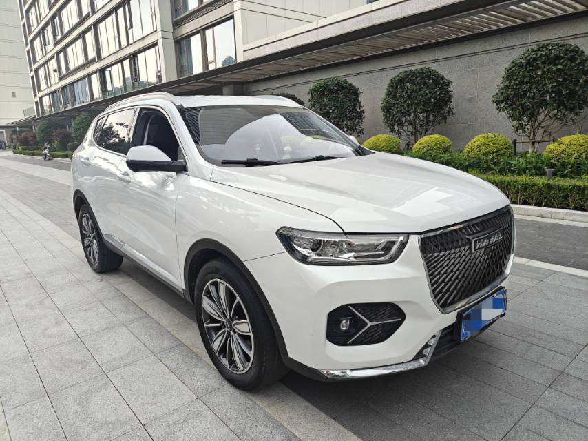 صورة Haval H6 1.5T National Trend Edition Champion Edition رقم 3