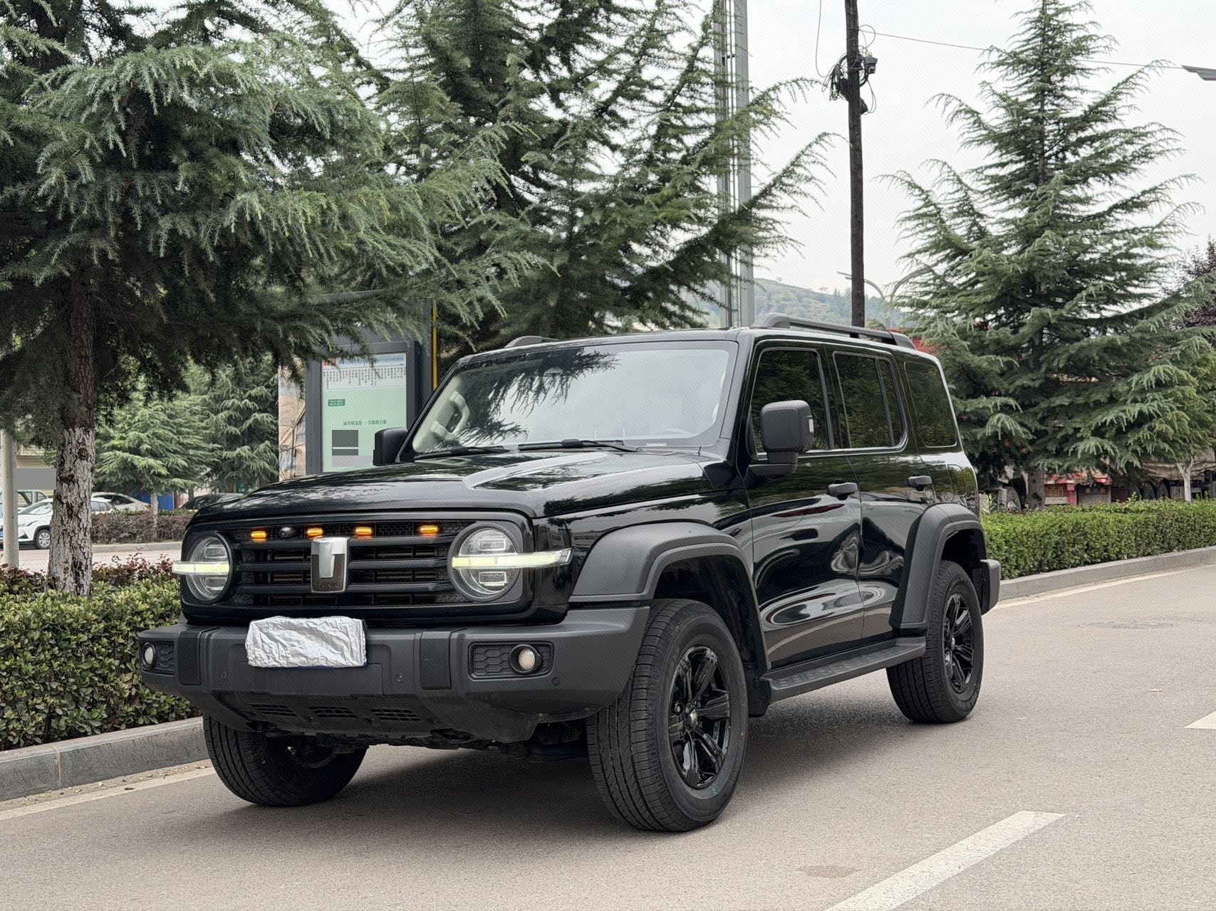 TANK 2021 Tank 300 2.0T Off-Road Edition Conqueror