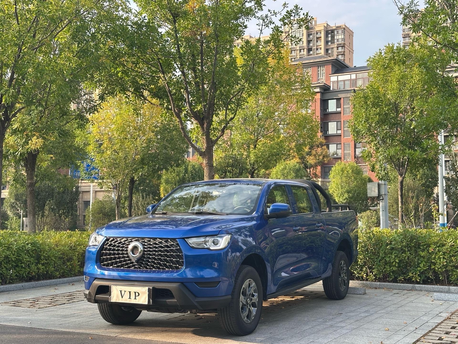 Great Wall POER 2021 Cannon 2.0T Commercial Diesel 2WD Elite Long-Box Version