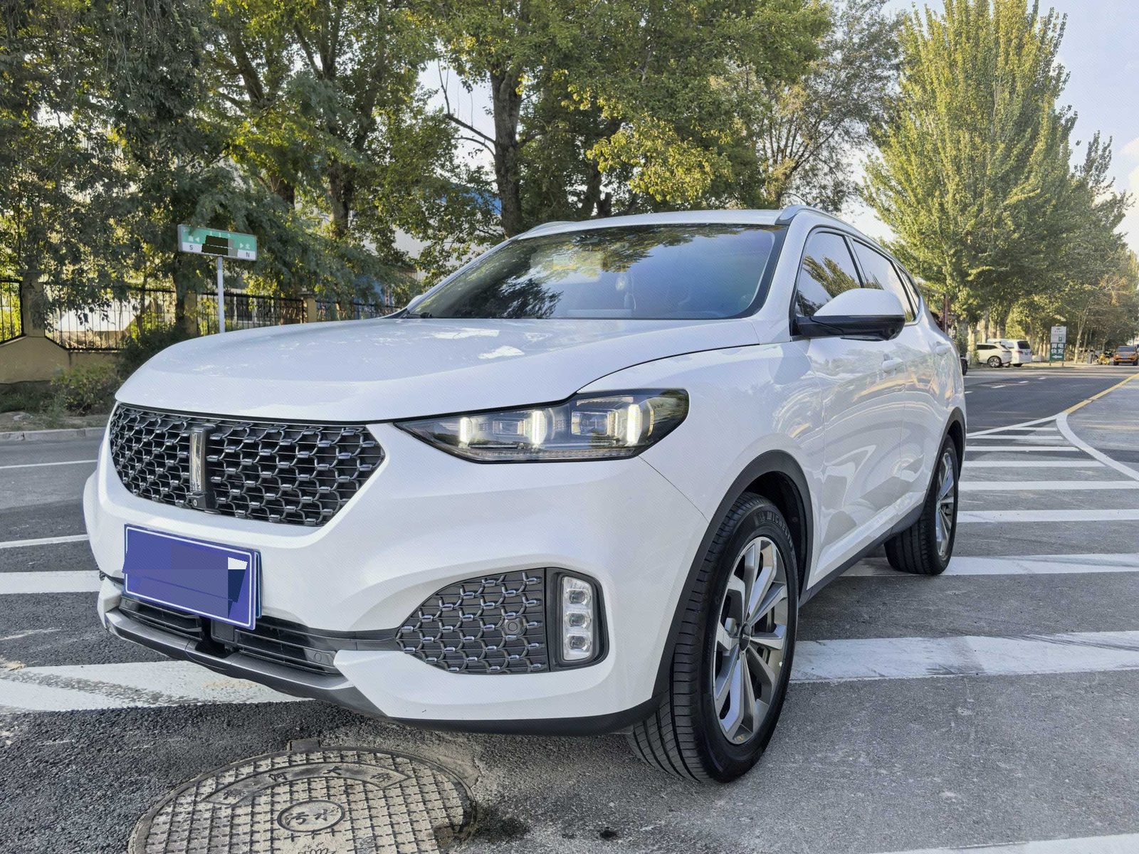 WEY 2020 VV6 2.0T AWD Intelligent Drive+