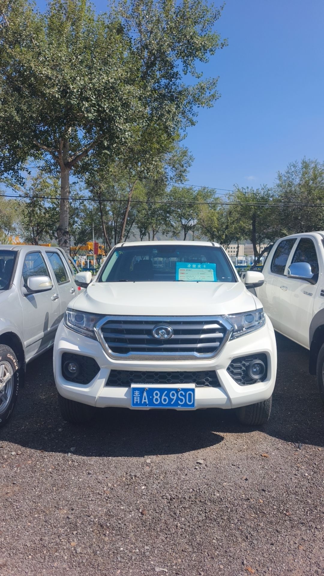 Great Wall Wingle 7 2019 Fengjun 7 2.0T 2WD Champion Edition Short Bed photo 3