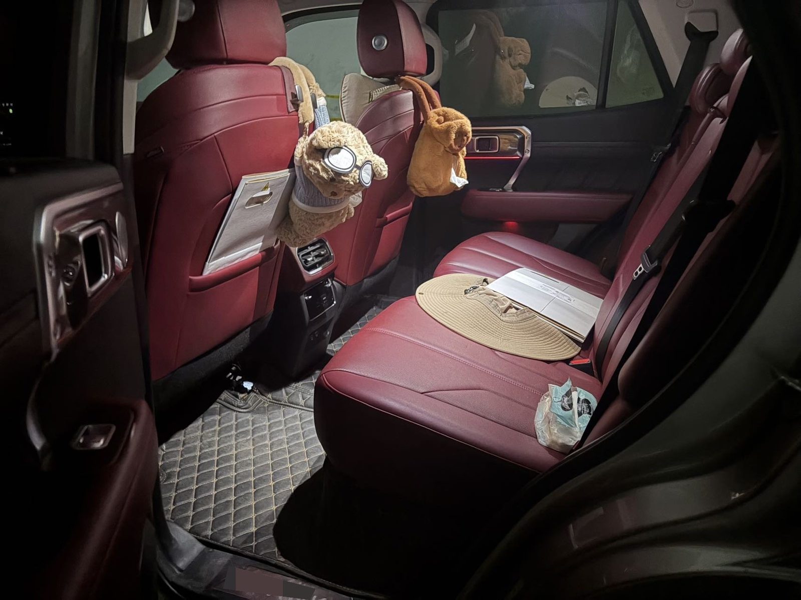 TANK Tank 400 Hi4-T 2.0T Performance Edition photo 2