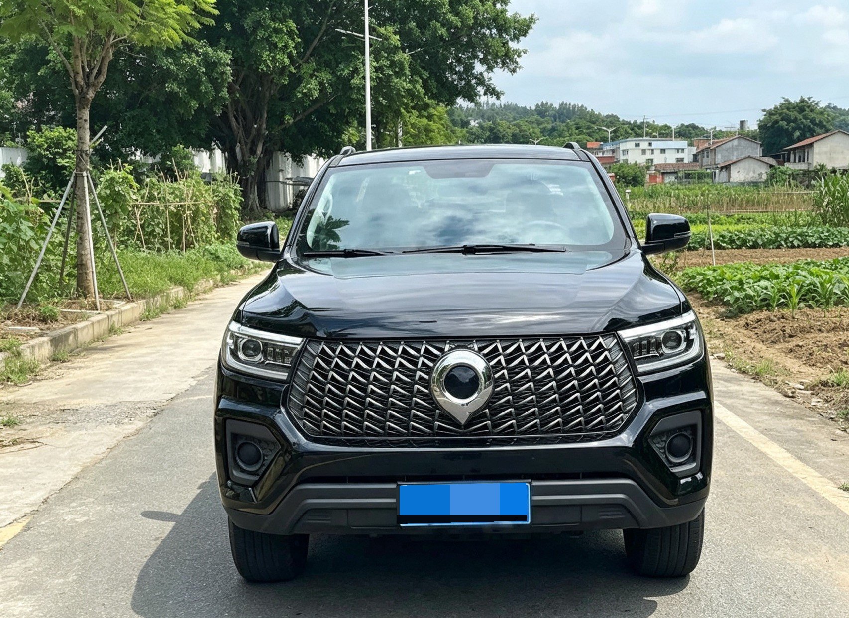 Great Wall POER 2021 Cannon 2.0T Commercial Diesel 4WD Elite Long-Box Version photo 2