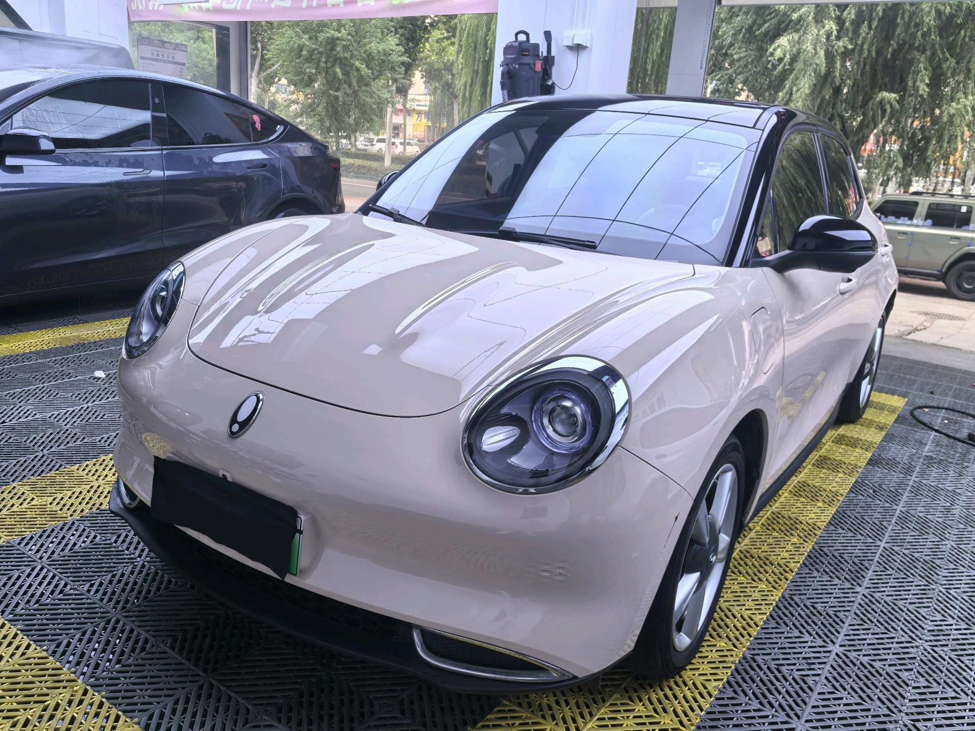 ORA 2022 Ora Good Cat 400km Standard Range Luxury Model with Lithium Iron Phosphate Battery