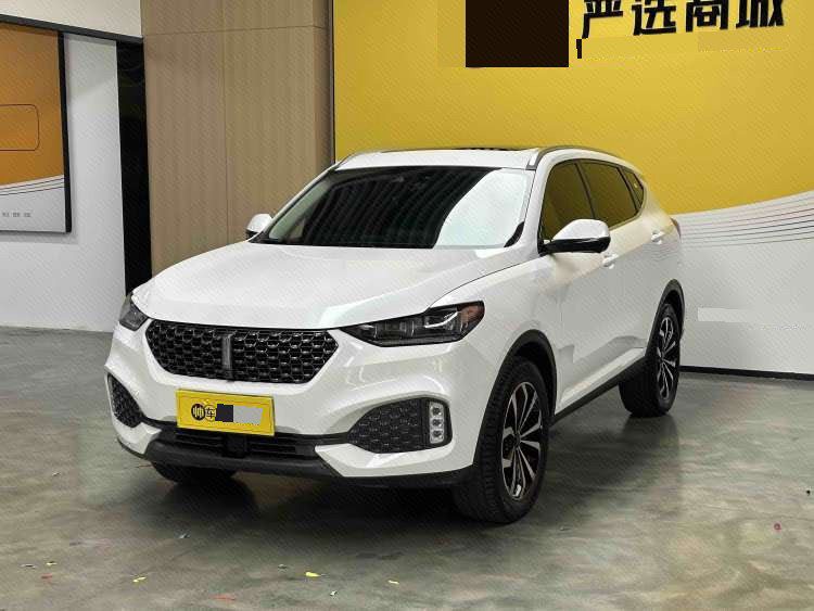 WEY 2020 VV6 2.0T Two-Wheel-Drive Zhixiang+