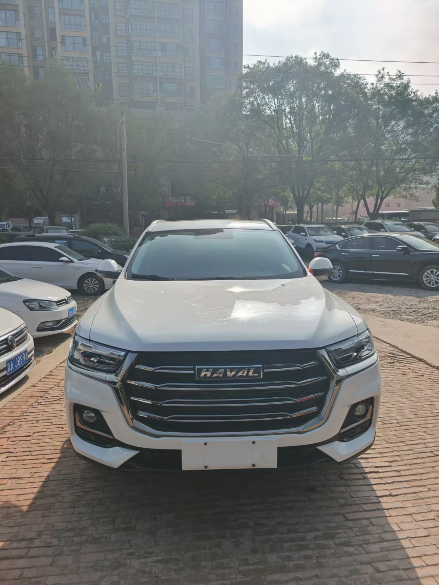 Haval 2021 H6 1.5T Sport Edition Elite Smart Connect Hexagonal Grille photo 3