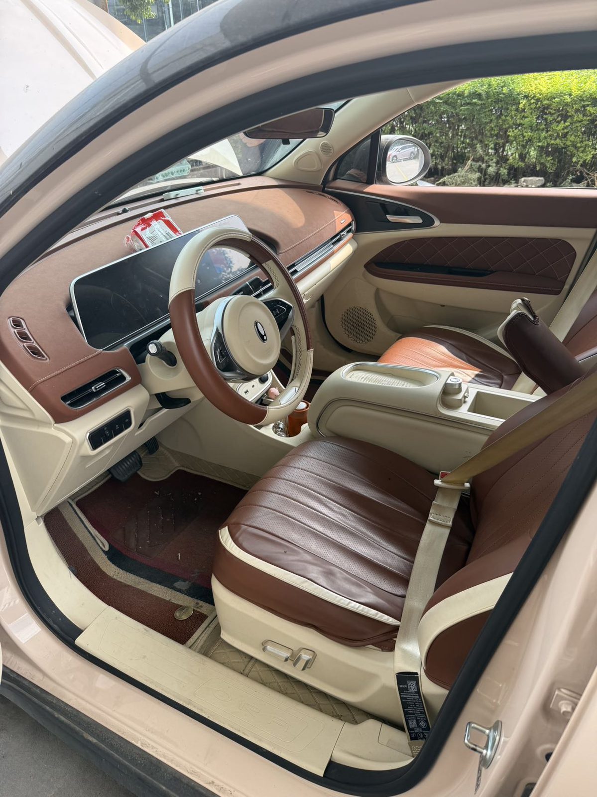 ORA Good Cat 401km Luxury Model fotoğraf 5