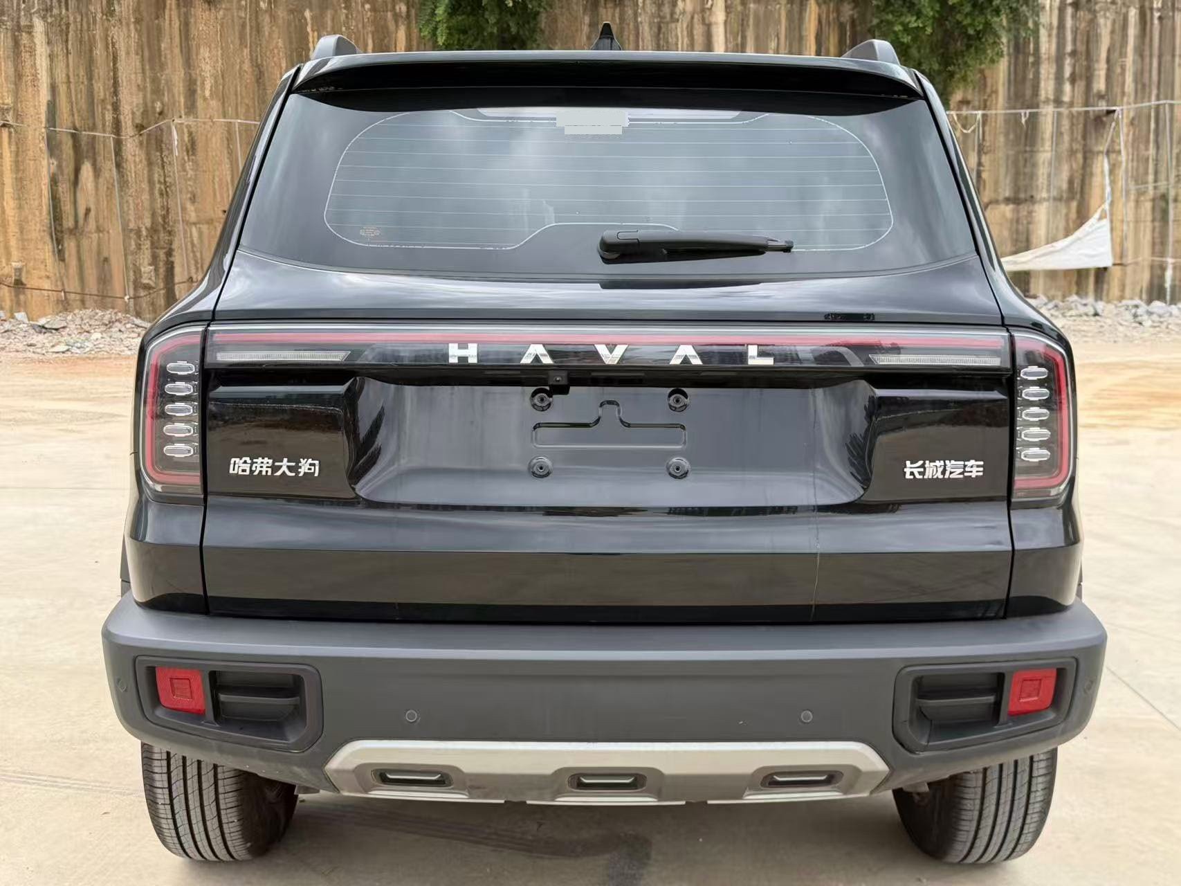 Photo du Haval Dargo Big Dog 1.5T Border Collie Edition 4
