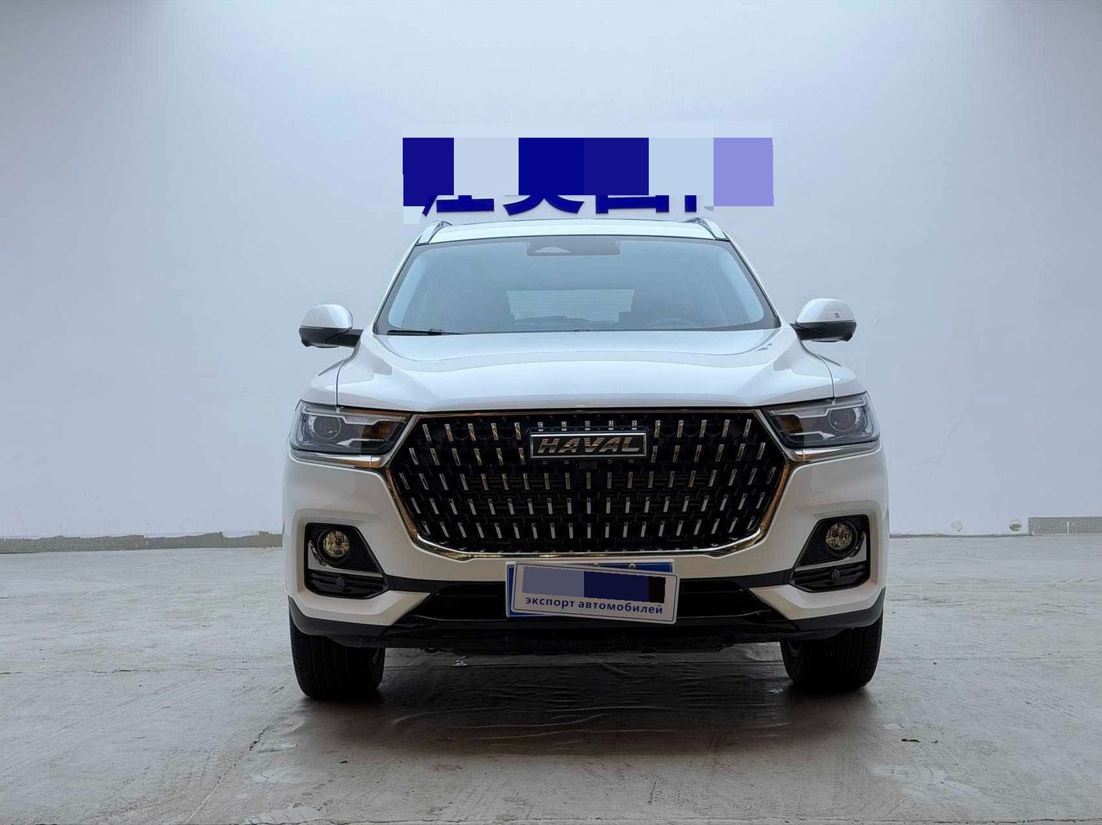 صورة Haval H6 1.5T National Trend Edition Champion Version رقم 2