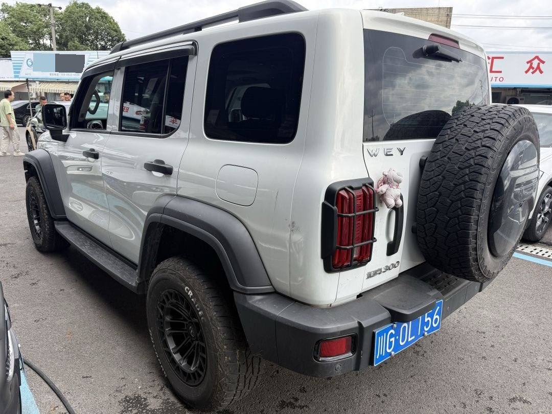 TANK Tank 300 2.0T Off-Road Edition Conqueror fotoğraf 4