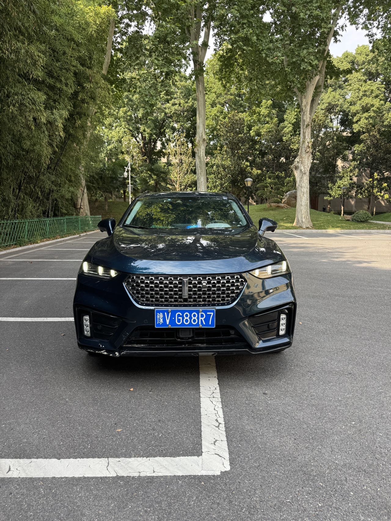 صورة WEY VV7 2.0T Flagship Model رقم 2
