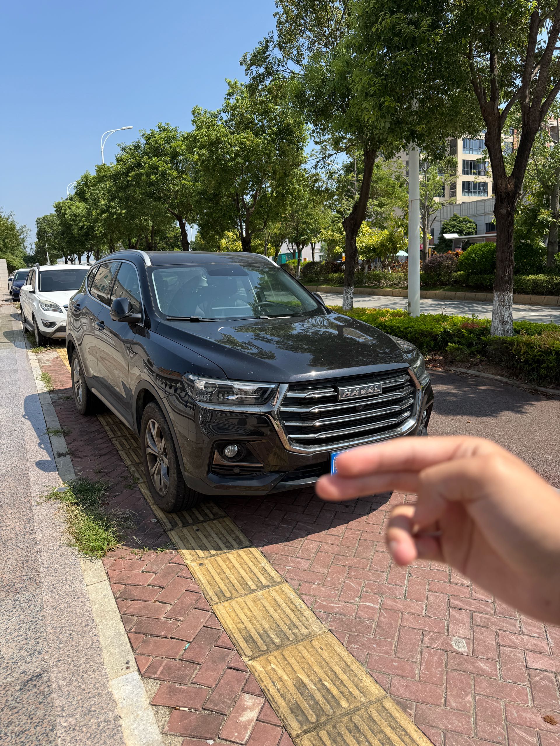 Haval 2021 H6 1.5GDIT National Trend Edition Champion Version photo 3
