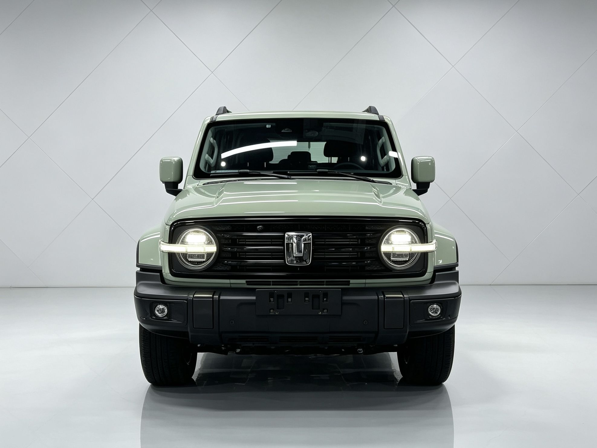 TANK Tank 300 2.0T Urban Edition—Looks Great photo 2