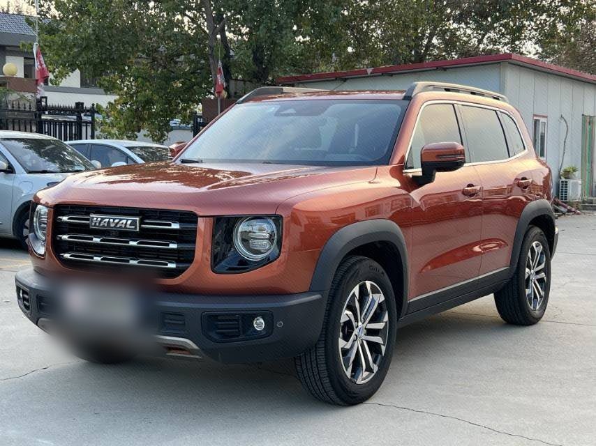 Haval Dargo 2021 Big Dog 1.5T Border Collie “Wang Cai” Edition