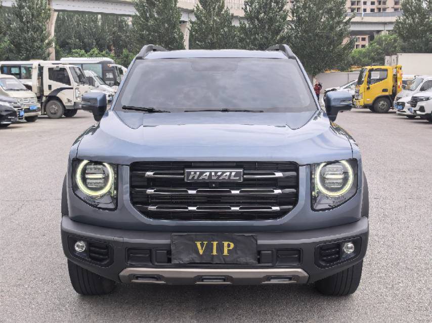 Haval Dargo Big Dog 1.5T Border Collie “Wang Cai” Edition foto 2