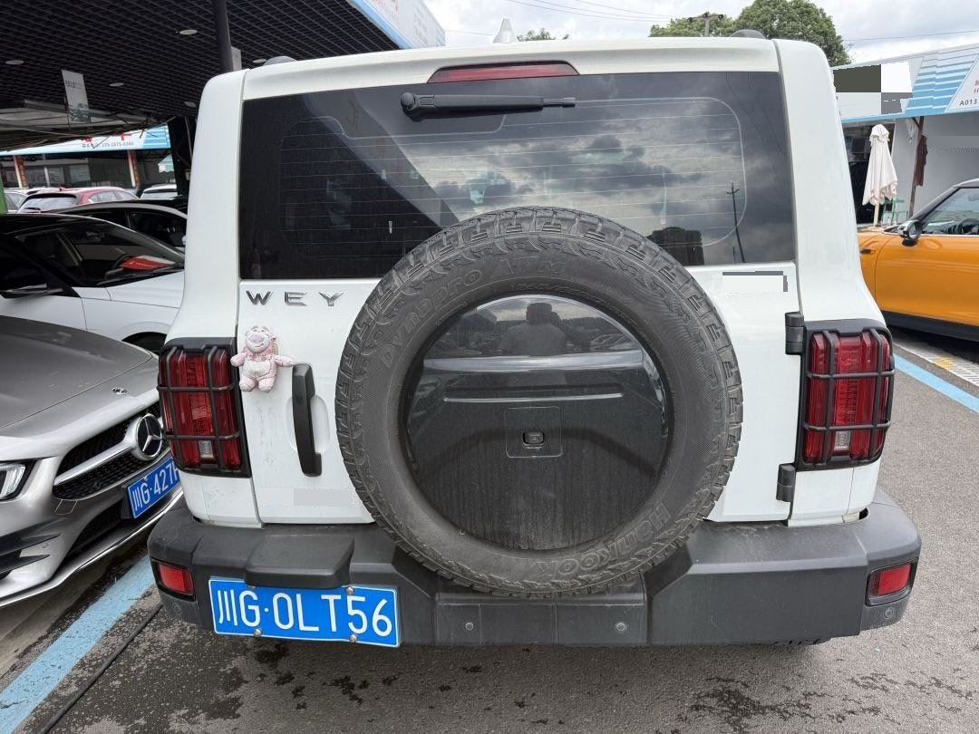 TANK Tank 300 2.0T Off-Road Edition Conqueror fotoğraf 2