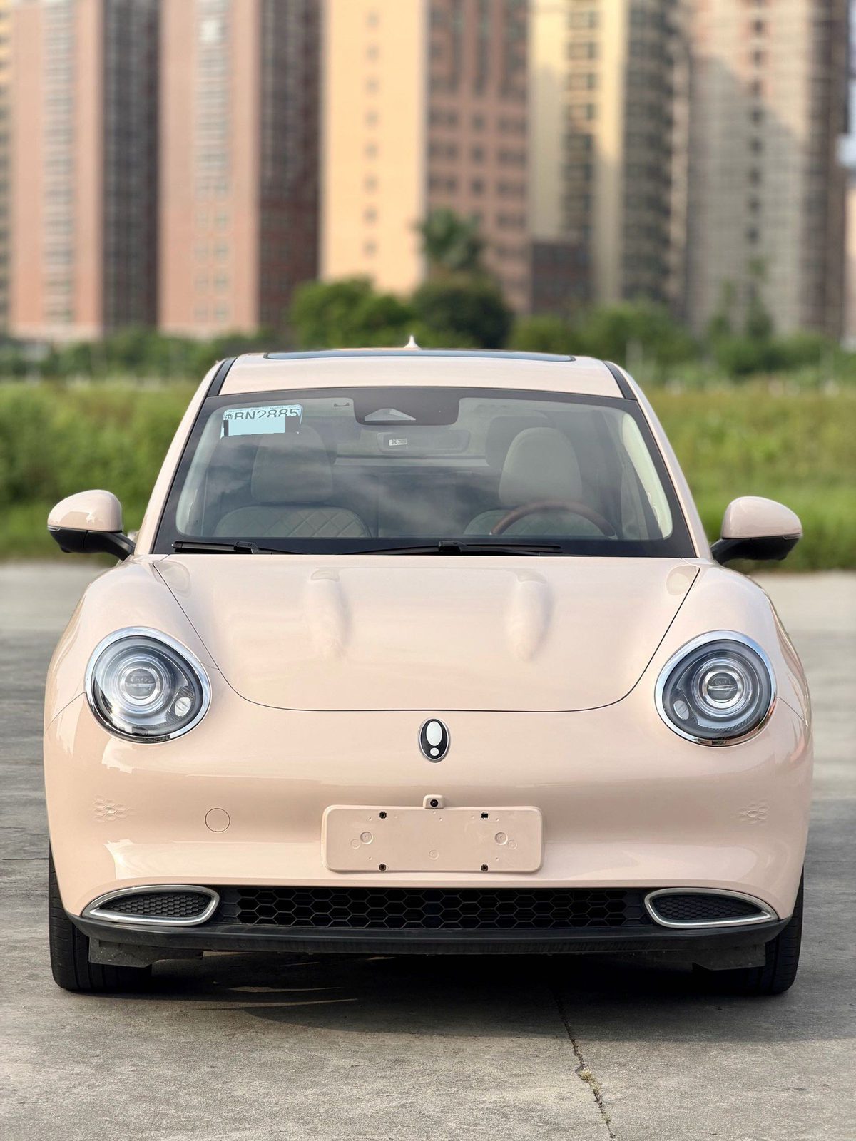 ORA Good Cat 401km Luxury Model fotoğraf 2