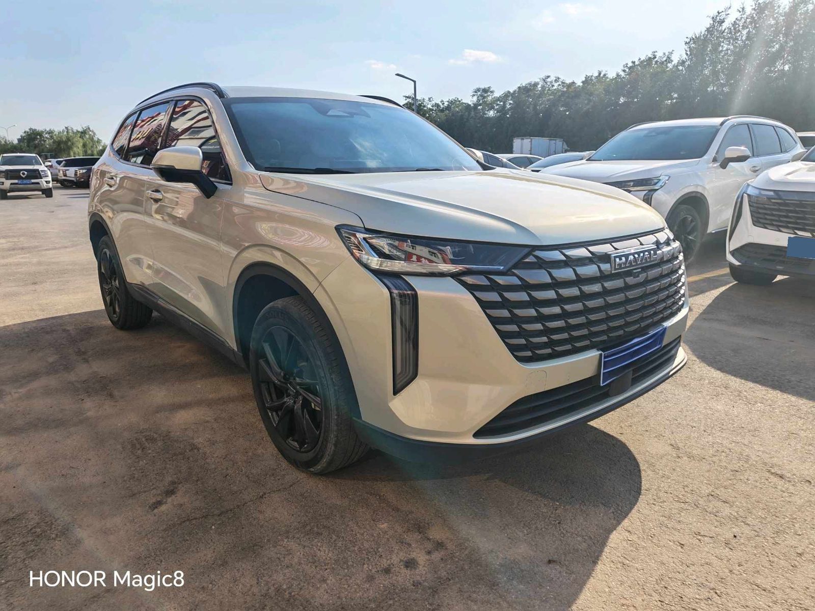 Foto del Haval H6 2.0T 4WD Max 3