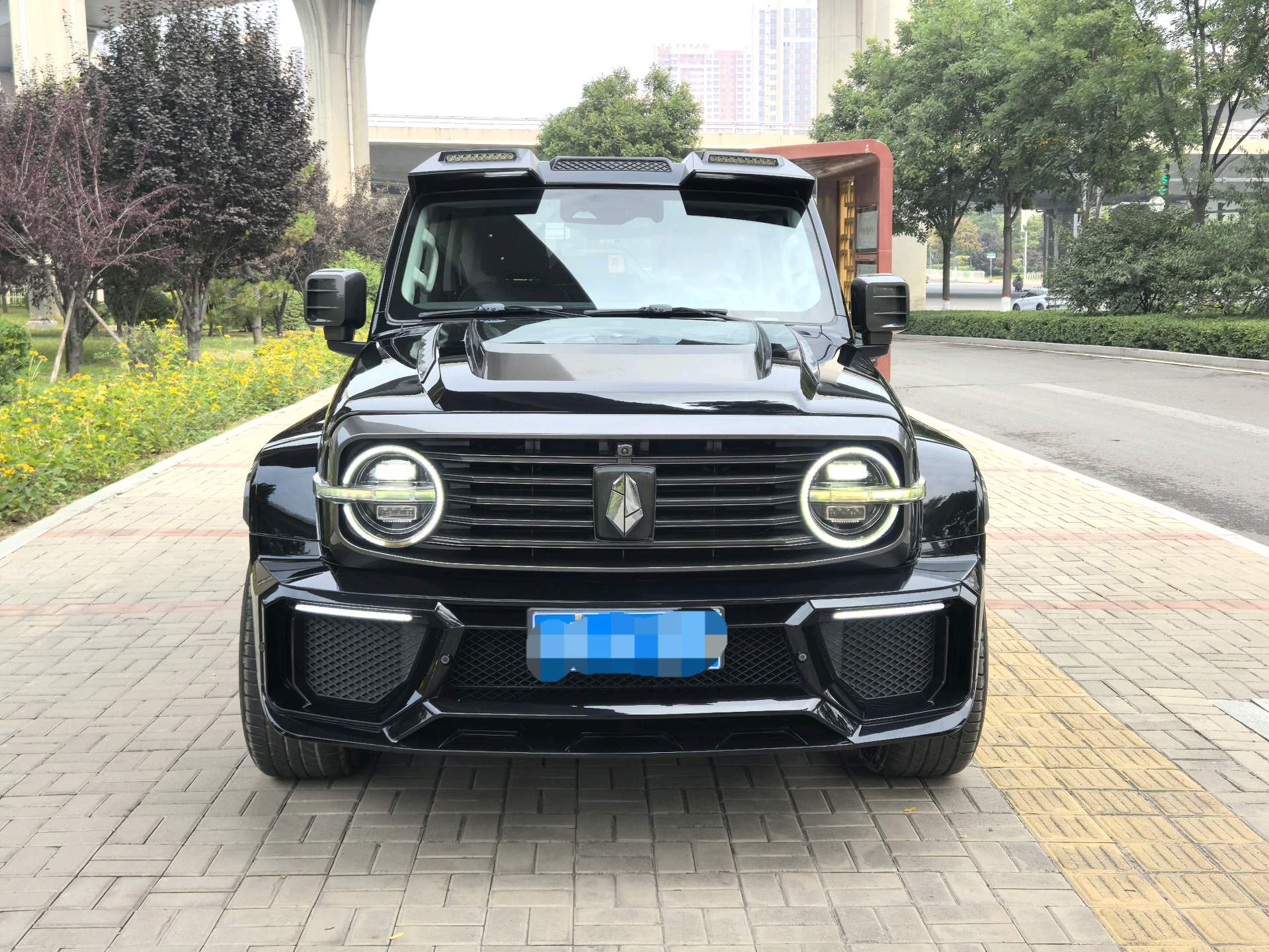 TANK Tank 300 2.0T Off-Road Edition Conqueror photo 2