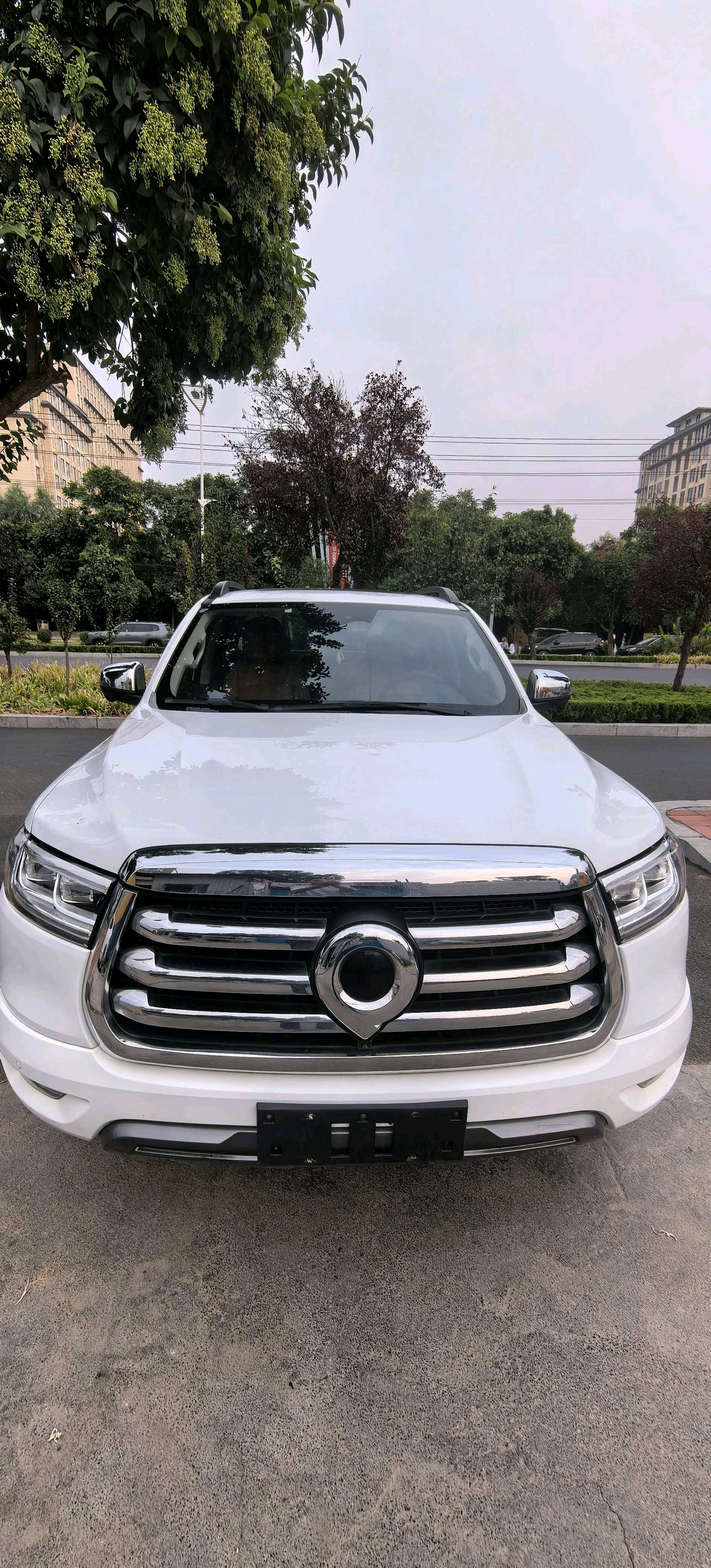 Great Wall POER 2021 Cannon 2.0T Passenger Global Version Diesel 4WD Sport Standard-Box Version foto 2