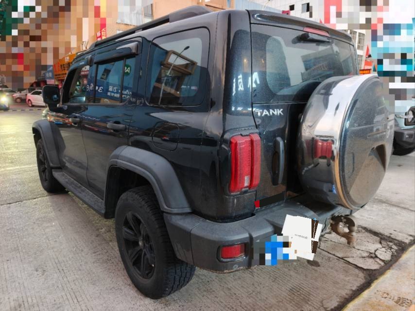 TANK Tank 300 2.0T Off-Road Edition Conqueror photo 2