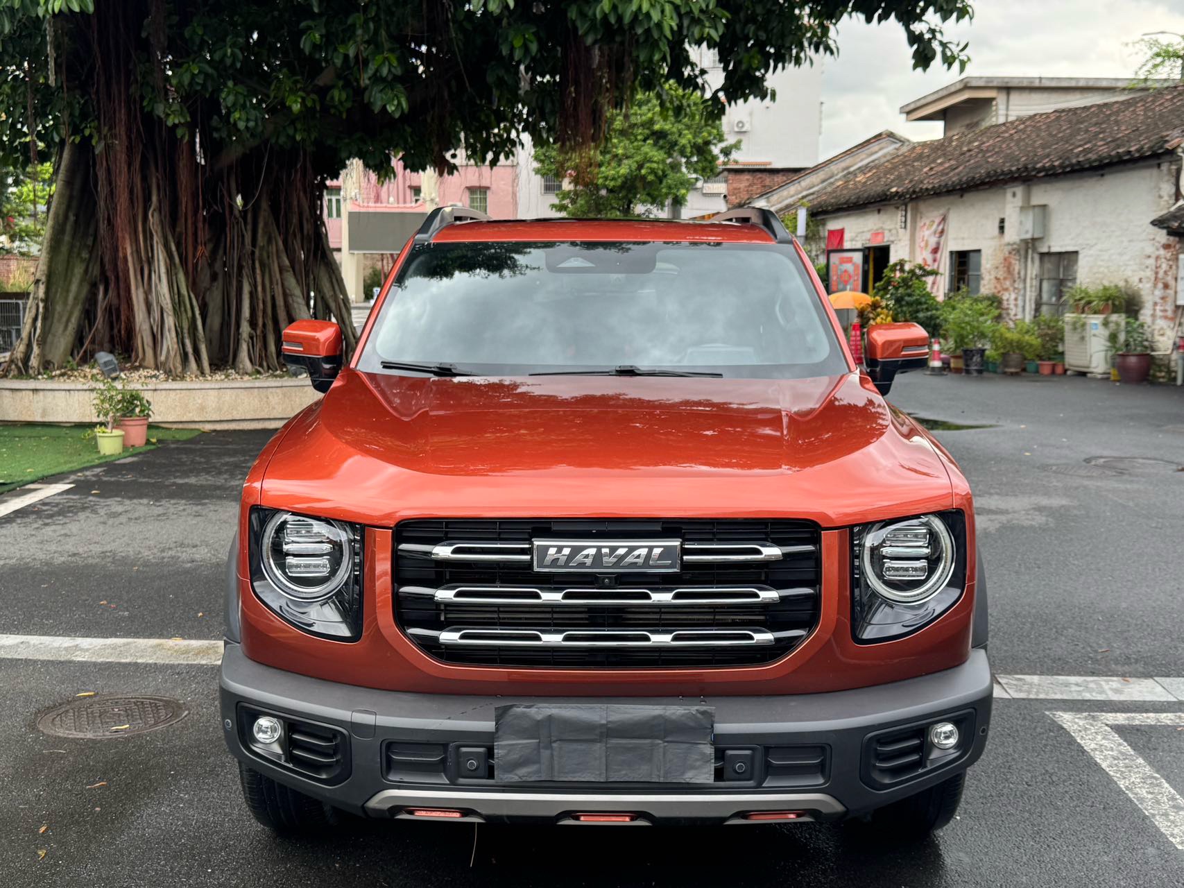 Haval Dargo 2021 Big Dog 1.5T Border Collie “Wang Cai” Edition photo 2