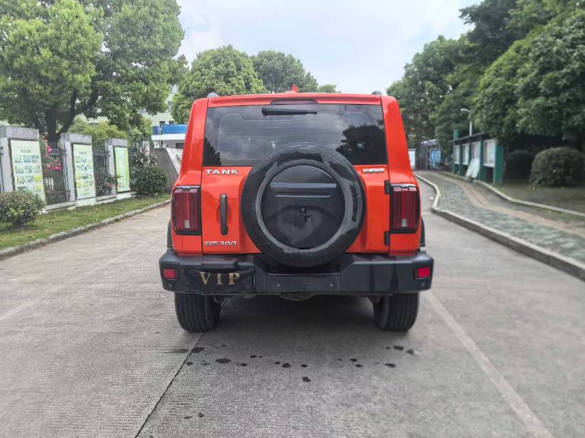 TANK Tank 300 2.0T Off-Road Edition: The Conqueror photo 5