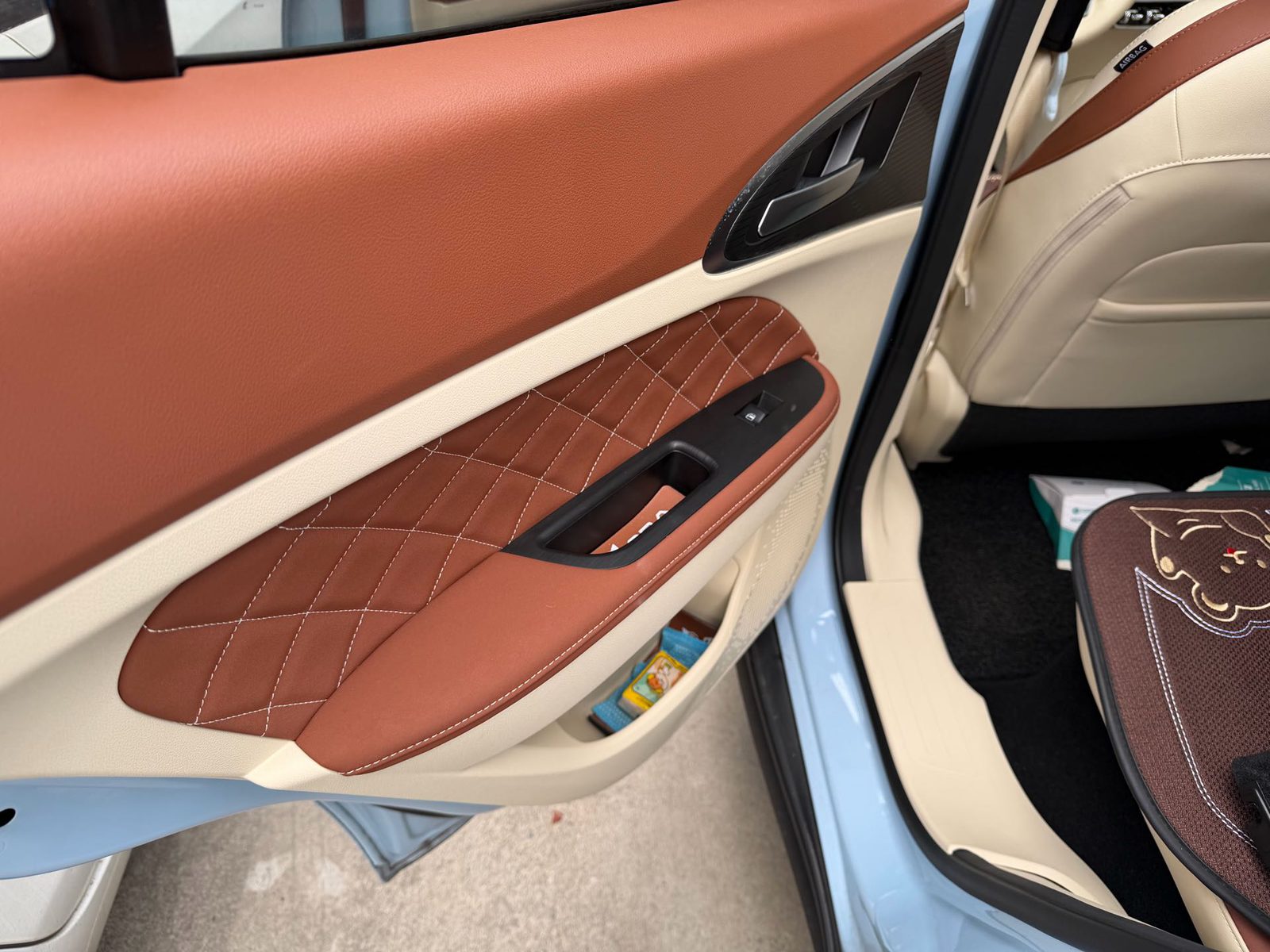 Фото ORA Good Cat 401 km Standard Range Prestige Model – Ternary Lithium — 5