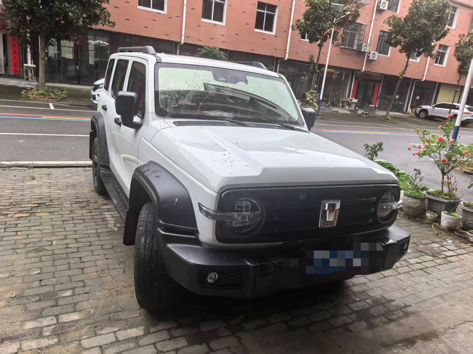 Фото TANK Tank 300 2.0T Off-Road Edition Challenger — 2