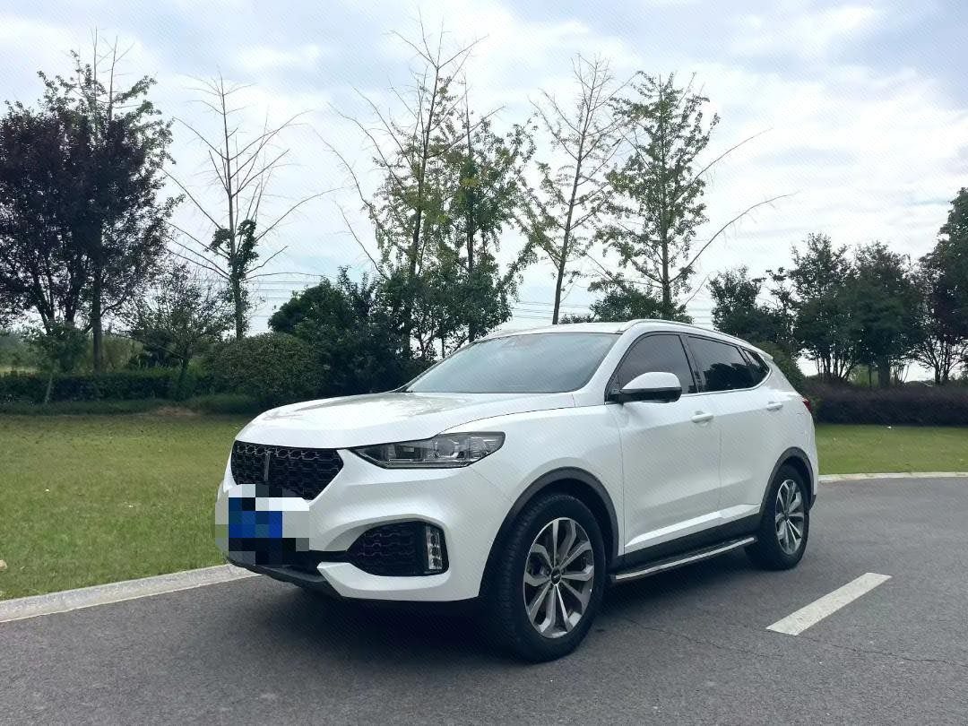 WEY 2019 VV6 2.0T Four-Wheel-Drive Flagship Model