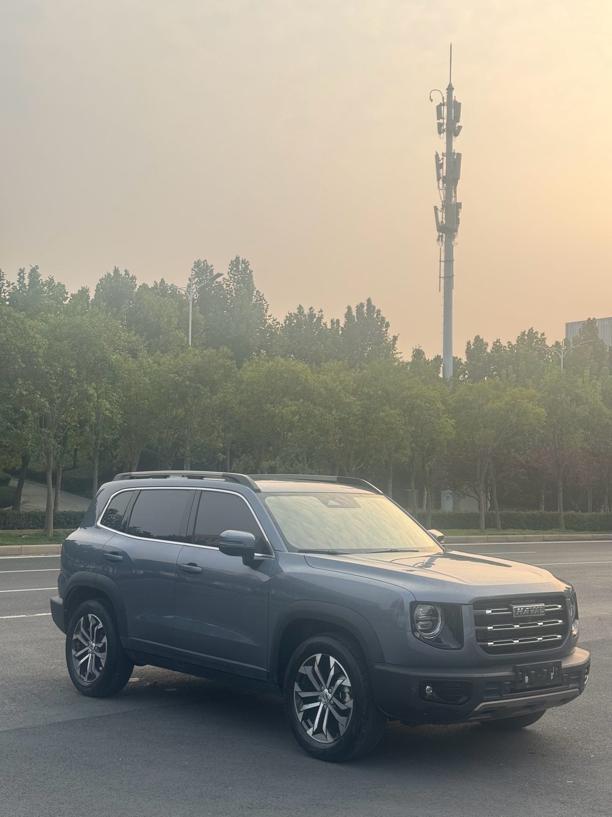 Haval Dargo Big Dog 1.5T Border Collie “Wang Cai” Edition fotoğraf 3