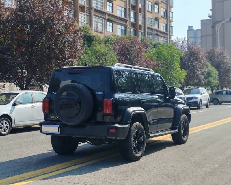 Фото TANK Tank 300 2.0T Off-Road Edition Challenger — 4