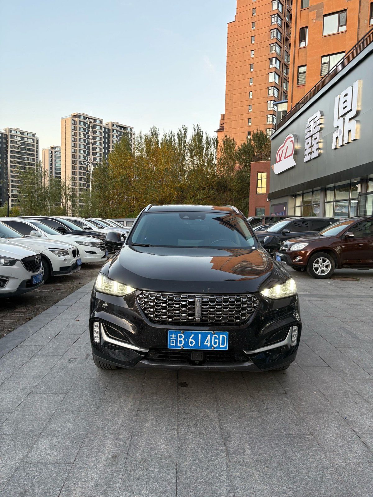WEY VV6 2.0T AWD Intelligent Drive+ fotoğraf 2