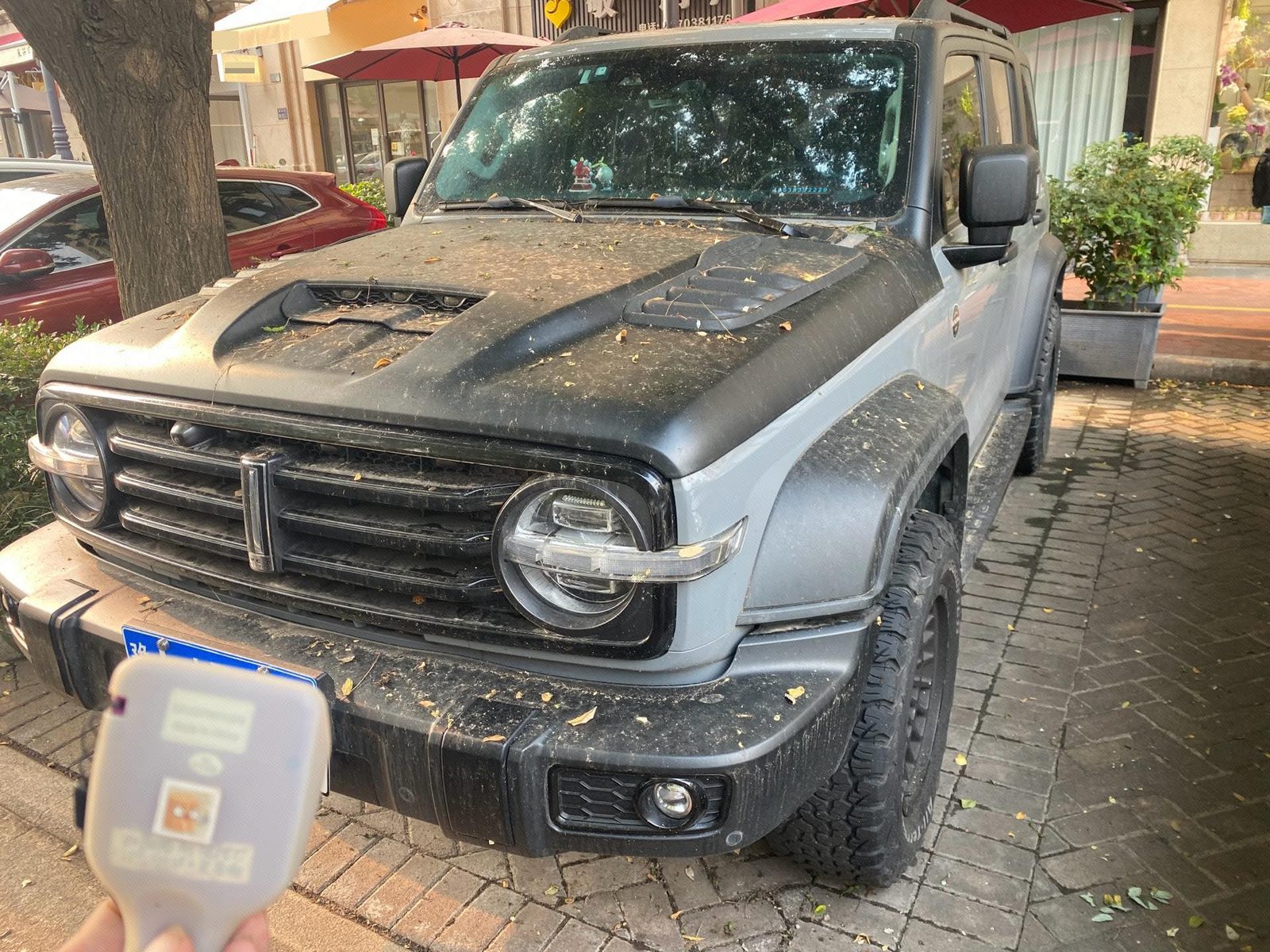 TANK 2021 Tank 300 2.0T Off-Road Edition Conqueror