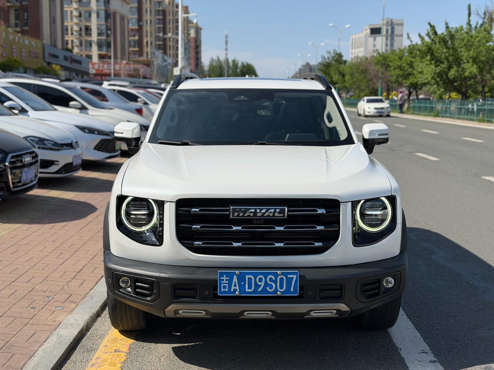 Фото Haval Dargo Big Dog 1.5T Border Collie “Wang Cai” Edition — 2