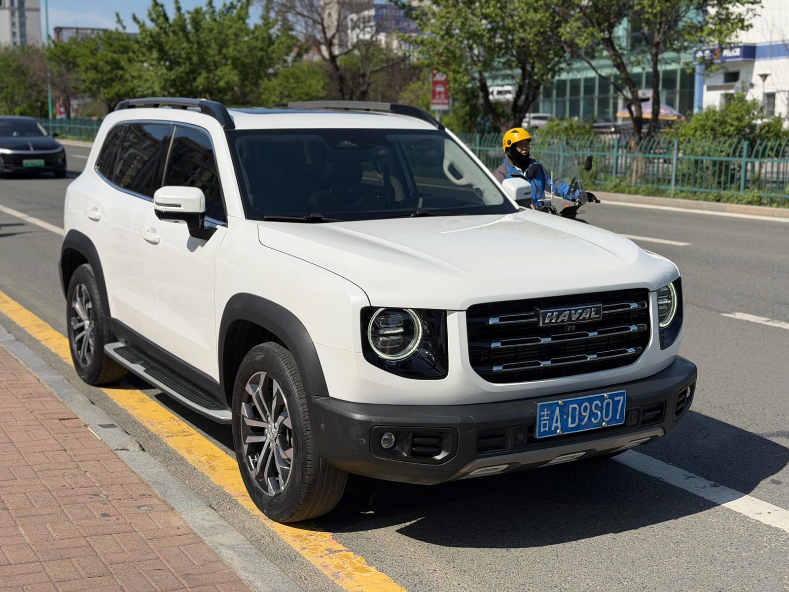 Фото Haval Dargo Big Dog 1.5T Border Collie “Wang Cai” Edition — 3