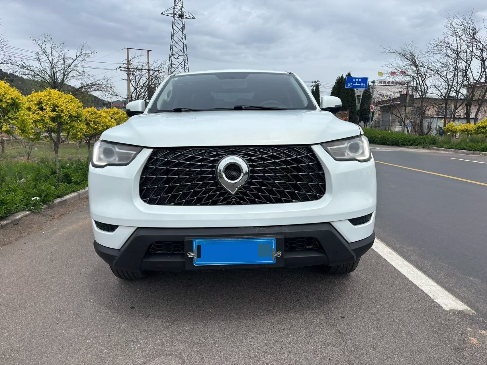 Great Wall POER 2021 Cannon 2.0T Commercial Diesel 2WD Elite Long-Box Version photo 2