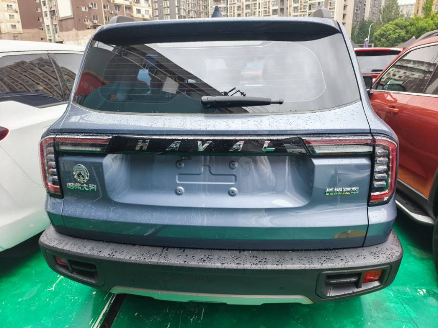 Haval Dargo Tank 300 1.5T 2WD Border Collie Edition fotoğraf 2
