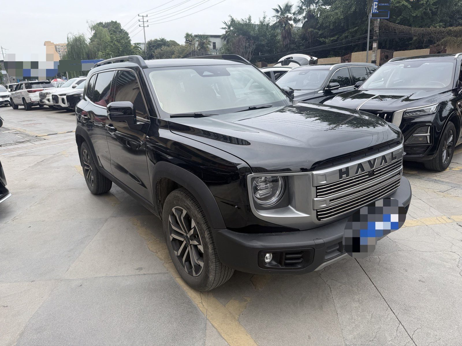Foto Haval Dargo Big Dog 1.5T Border Collie Edition 3