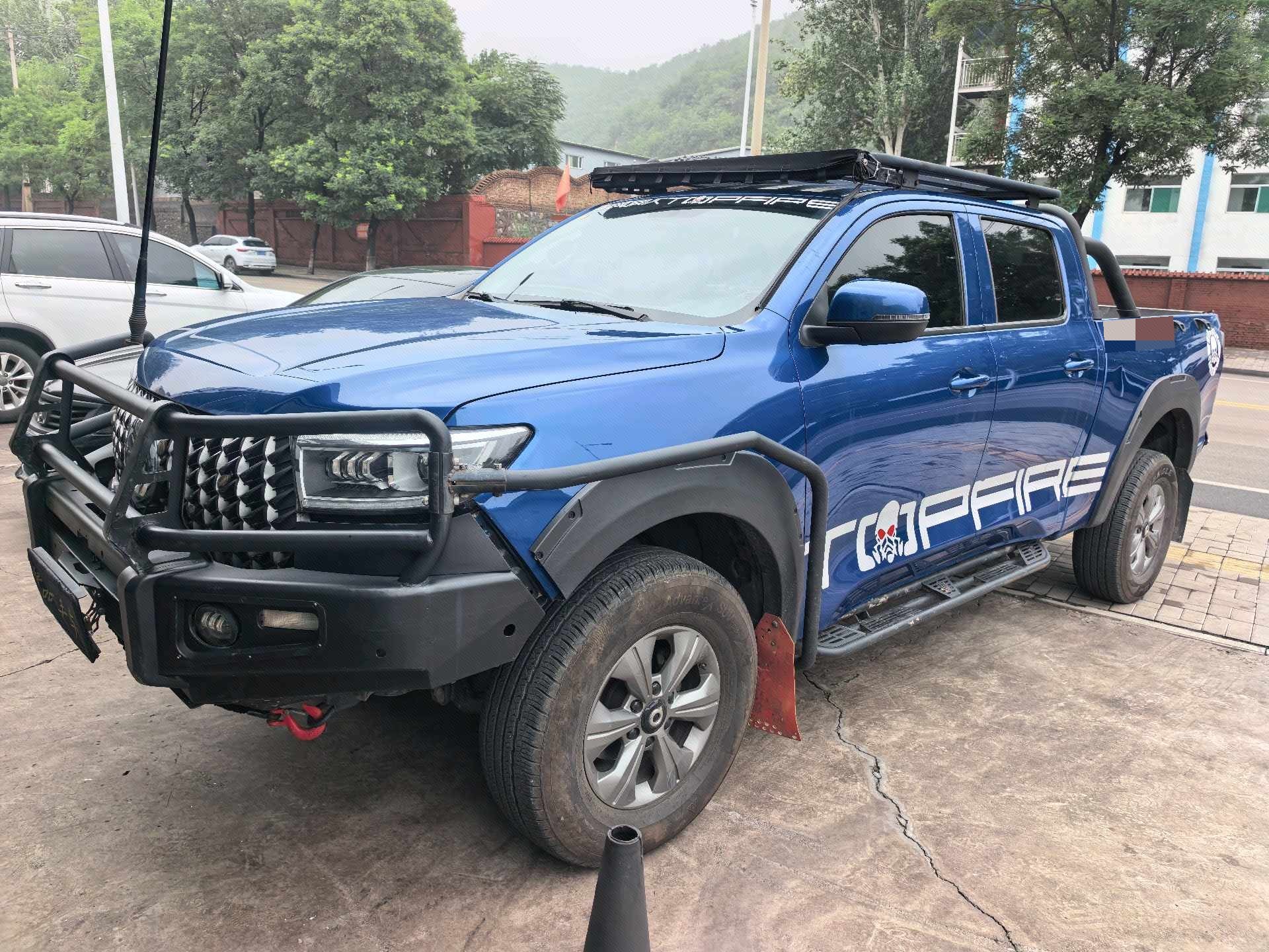 Great Wall POER 2023 Cannon 2.0T Commercial Diesel 4WD Elite Long Bed