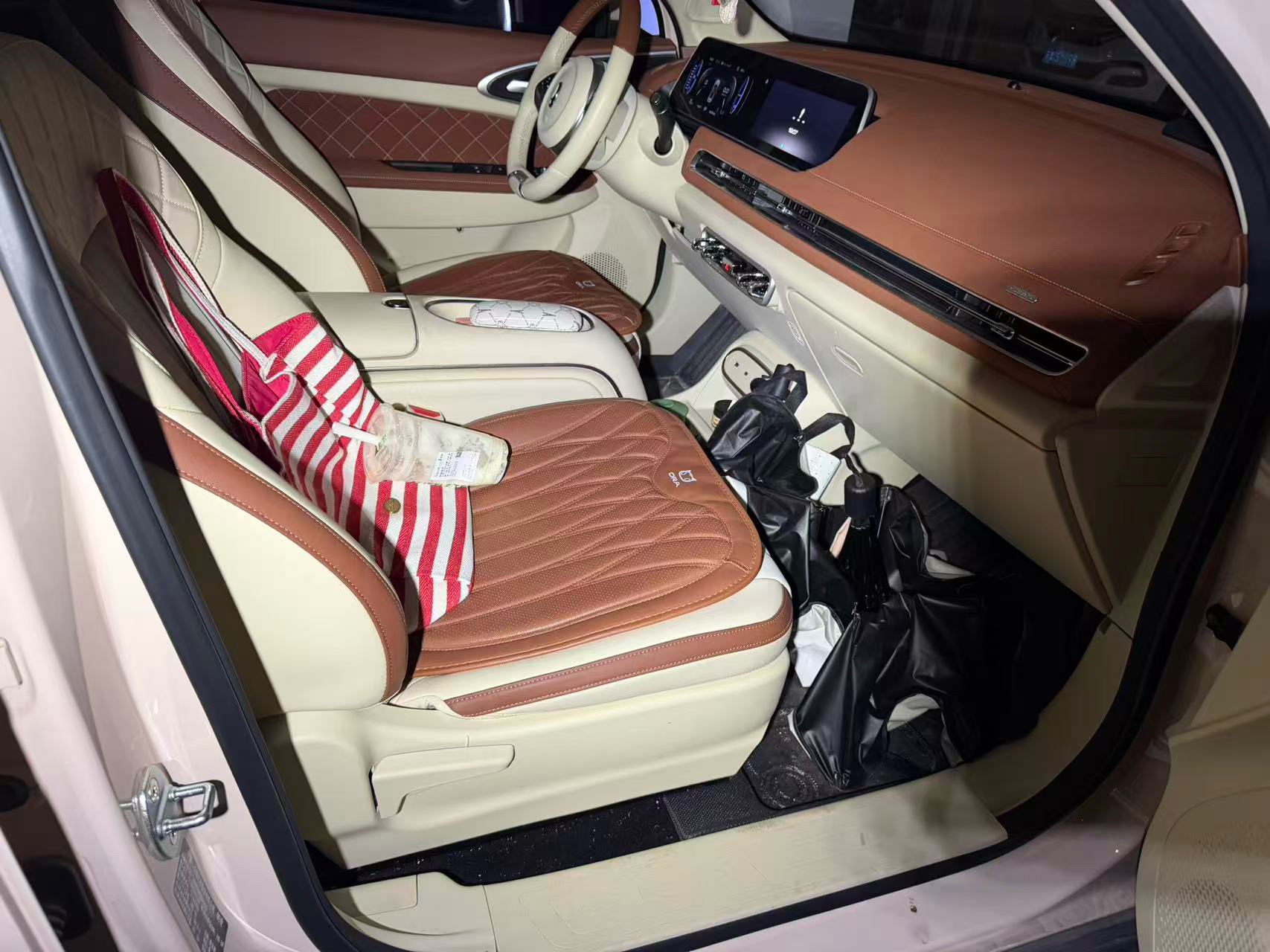 Foto ORA Good Cat 401km Luxury Model 5